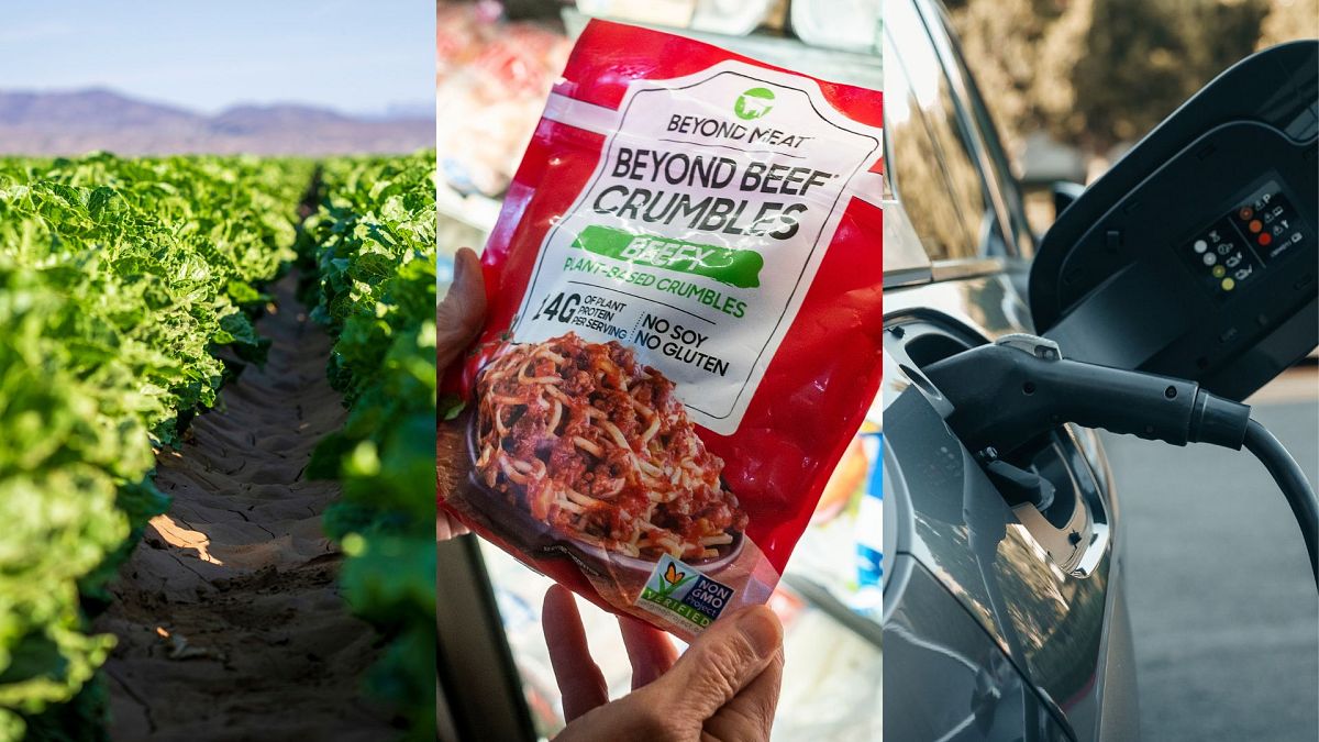 Experts identify three ‘positive tipping points’ for climate action