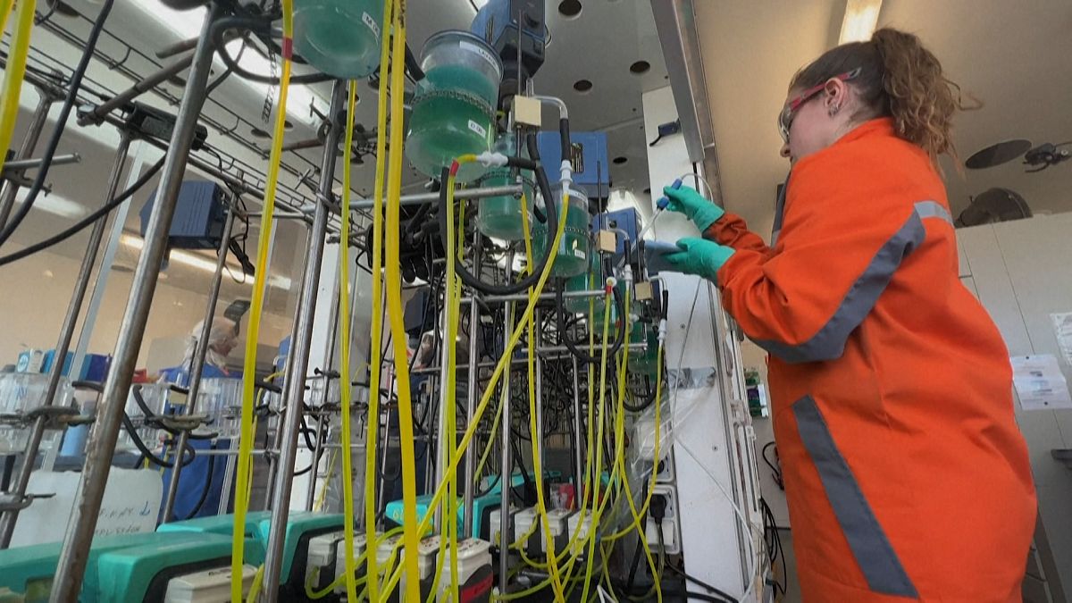 What can making salad dressing teach us about recycling batteries?